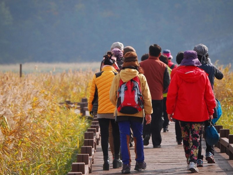 Is wandelen gezond? 5x ja