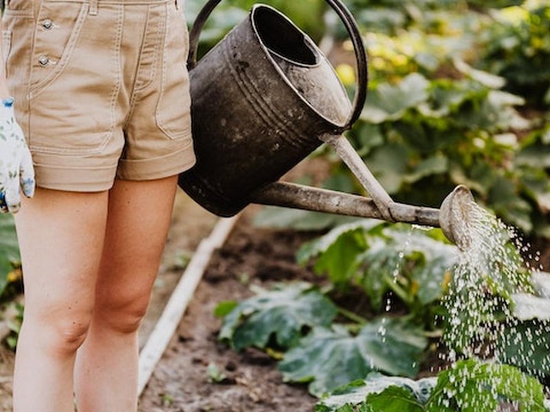 Een nieuwe levensadem voor jouw tuin door opfrissen en verfraaien